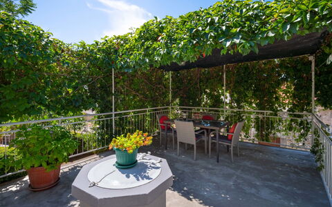 Jelena: Plant, Flower, Sky, Property, Cloud, Flowerpot, Botany, Table, Houseplant, Outdoor Furniture