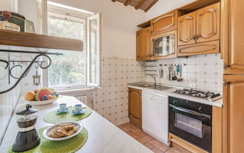 Accommodation:&nbsp;Ginestre