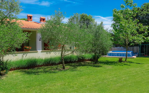 Corina: Plant, Cloud, Sky, Tree, Natural Landscape, Building, Land Lot, Grass, Residential Area, Shrub