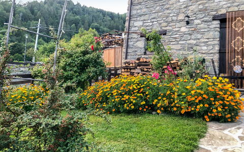 Maison chez Nous: Plant, Flower, Property, Plant Community, Building, Sky, Window, Vegetation, Door, Grass
