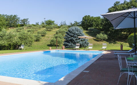 Le Querce: Water, Plant, Property, Sky, Swimming Pool, Azure, Nature, Shade, Tree, Chair