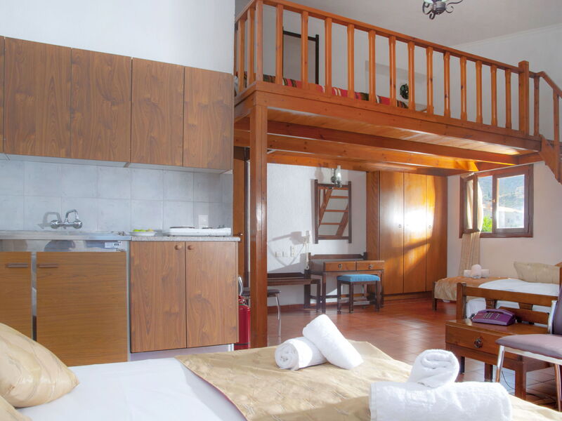 Accommodation:&nbsp;Medusa Ontas 3.4
