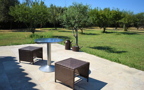 L'Oliveraie: Property, Grass, Tree, Table, Park, Furniture, Lawn, Architecture, Design, House