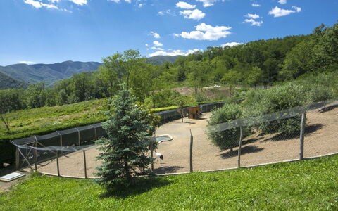 Cantiniere: Cloud, Plant, Sky, Plant Community, Ecoregion, Tree, Natural Landscape, Mountain, Land Lot, Shade