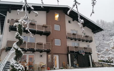 Pians 115: Building, Property, Window, Snow, Plant, Branch, Tree, House, Twig, Freezing