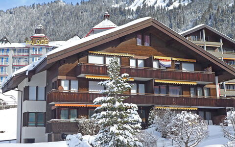 Rustica Apt. M: Plant, Snow, Property, Building, Window, Mountain, White, Sky, Tree, House