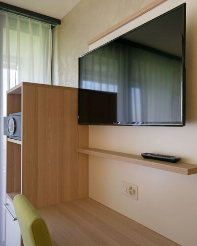 Wohnmotel 100.31