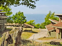 Sandvig