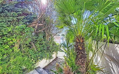 Marinas Beach: Vegetation, Woody Plant, Garden, Tropics, Botanical Garden