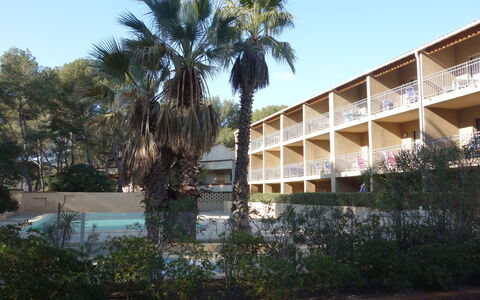 La Marina: Tree, Architecture, Palm Tree, Sky, Arecales, Woody Plant, Real Estate, Plant, Building, House