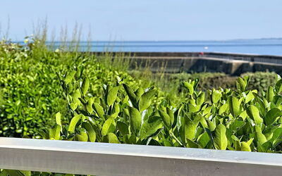 Accommodation:&nbsp;Les Terrasses Port Maria 220.3