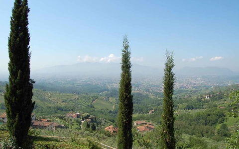 Borgo Antico Paolo: Tree, Hill Station, Vegetation, Tropical And Subtropical Coniferous Forests, Wilderness, Biome, Plant, Plant Community, Forest, Mountain