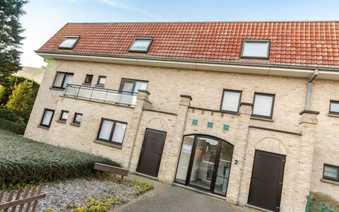 De Vakantieduinen Aan Zee: Plant, Sky, Building, Window, Door, Tree, Brick, House, Brickwork, Grass