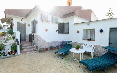 Coquetó: Plant, Building, Window, Sky, Flowerpot, Houseplant, House, Architecture, Studio Couch, Real Estate