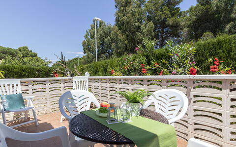 Coquetó: Flower, Furniture, Plant, Property, Table, Sky, Building, Chair, Outdoor Table, Tree