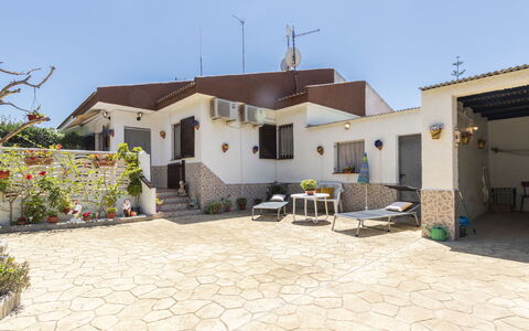 Coquetó: Sky, Plant, Property, Building, Window, House, Land Lot, Tree, Urban Design, Residential Area