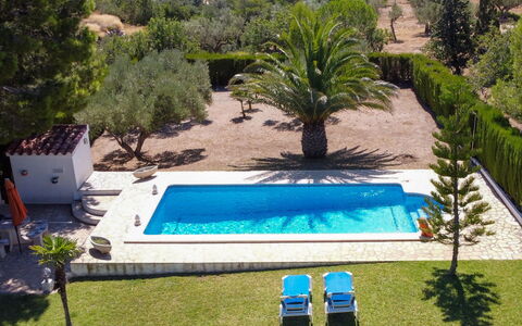 Reny: Swimming Pool, Property, Grass, House, Villa, Real Estate, Tree, Resort, Building, Palm Tree