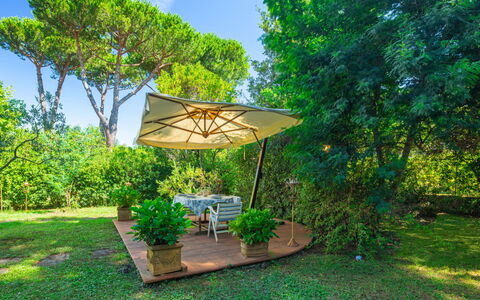 Madda: Nature, Property, Green, Real Estate, Natural Landscape, House, Tree, Grass, Architecture, Botany
