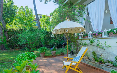 Madda: Plant, Furniture, Green, Leaf, Umbrella, Shade, Outdoor Furniture, Tree, Building, Grass