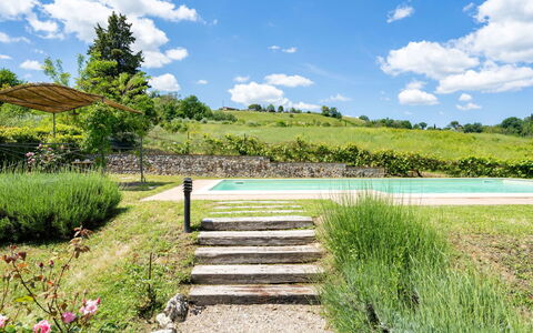 Villa Alba: Natural Landscape, Vegetation, Nature, Nature Reserve, Grass, Botanical Garden, Sky, Walkway, Natural Environment, Pond