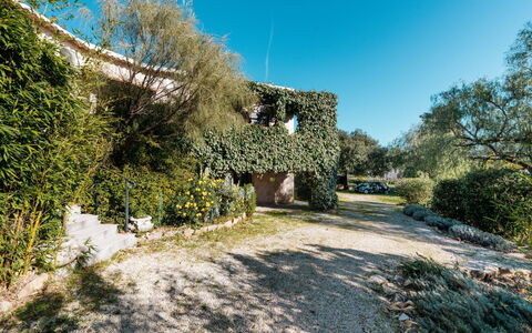 La Chilière: Plant, Sky, Plant Community, Natural Landscape, Road Surface, Asphalt, Tree, Shade, Land Lot, House