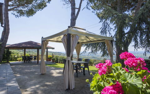 Giglio: Gazebo, Canopy, Pavilion, Pergola, Flower, Spring, Shade, Plant, Outdoor Structure, Tree
