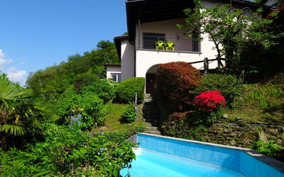San Nazzaro 25: Property, House, Swimming Pool, Real Estate, Building, Home, Botany, Yard, Resort, Architecture