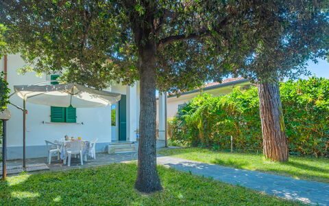Anita: Plant, Building, Tree, Shade, Window, Vegetation, Land Lot, Woody Plant, Urban Design, Road Surface
