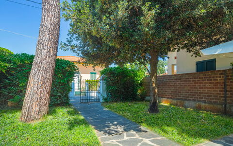 Anita: Plant, Building, Sky, Road Surface, Tree, Shade, Grass, Land Lot, Brick, House