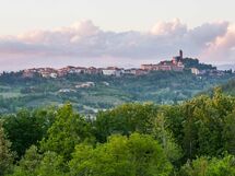 Moriolo