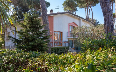Patrizia: Plant, Sky, Building, Property, Plant Community, Window, Tree, House, Vegetation, Arecales
