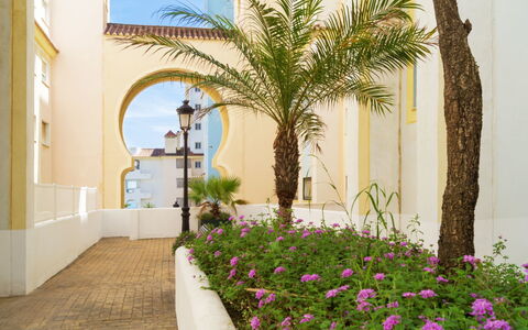 Reina Sofia Ii: Property, Plant, Tree, Building, Palm Tree, Real Estate, Wall, Arecales, Hacienda, Flower