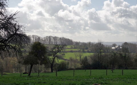 Les Écuries de Callenville: Natural Landscape, Pasture, Nature, Green, Grassland, Tree, Meadow, Sky, Natural Environment, Cloud