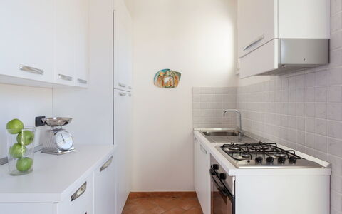 Marina Pietrasanta 255: Property, Room, Green, Major Appliance, Kitchen, Furniture, Floor, Real Estate, Interior Design, Countertop