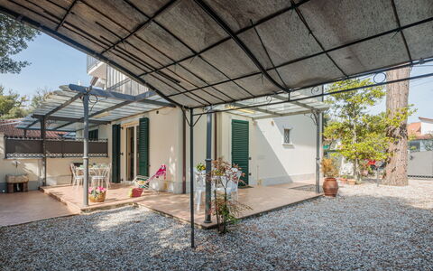 Marina Pietrasanta 255: Plant, Building, Shade, Window, Facade, Beam, Urban Design, Ceiling, City, Tree