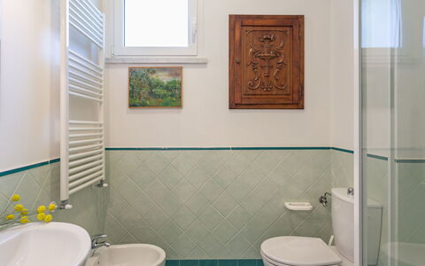 Marina Pietrasanta 255: Bathroom, Room, Property, Green, Tile, Bathroom Cabinet, Toilet, Bathroom Accessory, Plumbing Fixture, Interior Design