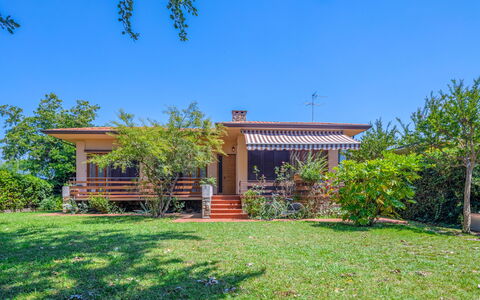 Donatella: Plant, Sky, Building, Property, Window, Tree, Shade, Natural Landscape, Land Lot, Architecture