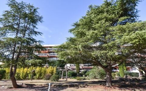 Sainte Maxime 455: Tree, White Pine, Woody Plant, Plant, Botany, Red Pine, Lodgepole Pine, Pine Family, American Larch, House