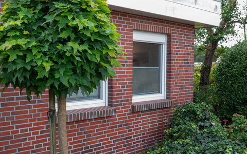 Kegelrobbe: Window, Building, Property, Plant, Brick, Brickwork, House, Architecture, Vegetation