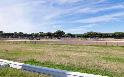 Les Pesquiers: Sky, Daytime, Property, Natural Environment, Grass, Land Lot, Pasture, Fence, Tree, Real Estate