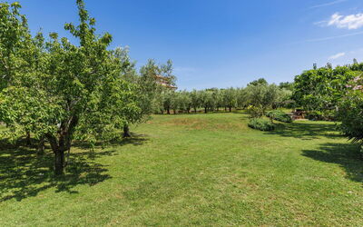 Novigrad (Istra) 112
