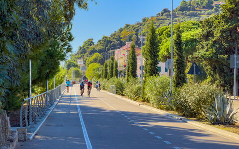 Il Balcone Sul Prino - Imperia: Tree, Road Surface, Road, Thoroughfare, Asphalt, Public Space, Lane, Recreation, Spring