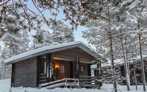 Lemmenliekki 2: Snow, Wood, Winter, Cottage, House, Home, Freezing, Log Cabin, Siding, Garden Buildings
