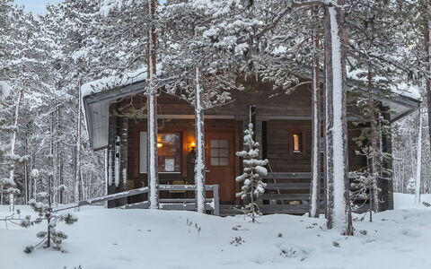 Lemmenliekki 2: Snow, Wood, Winter, Cottage, Home, Freezing, Log Cabin, Twig, Larch