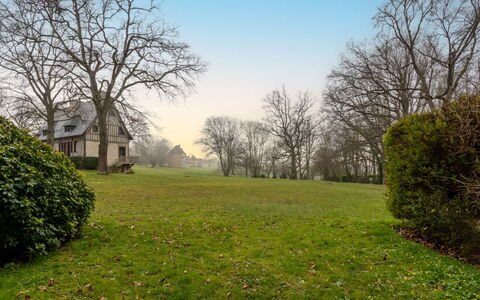 Deauville-Trouville 781: Branch, Tree, Grass, Leaf, Nature, Green, Natural Environment, Grassland, Natural Landscape, Twig