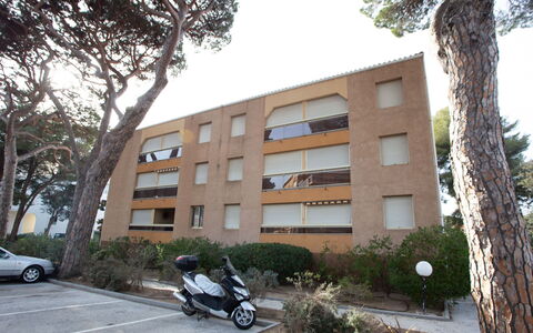 Les Régatiers: Wheel, Plant, Building, Property, Sky, Vehicle, Tree, Car, Architecture