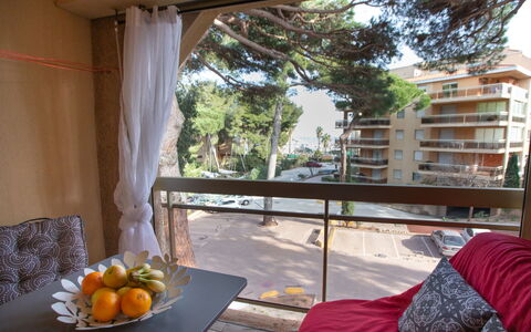 Les Régatiers: Building, Property, Furniture, Window, Table, Wood, Plant, Shade, Textile, Comfort