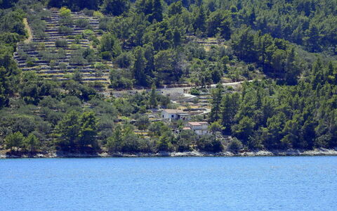 Flora: Body Of Water, Water, Water Resources, Nature, Lake, Tree, Vegetation, Wilderness, Nature Reserve, Sound