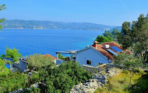 Flora: Water, Sky, Cloud, Water Resources, Azure, Tree, Natural Landscape, Beach, Coastal And Oceanic Landforms, Plant