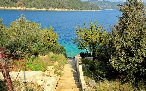 Flora: Water, Sky, Cloud, Water Resources, Azure, Tree, Natural Landscape, Beach, Coastal And Oceanic Landforms, Plant